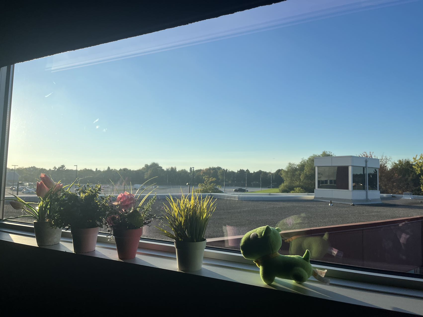 put a description here or you will lose grades