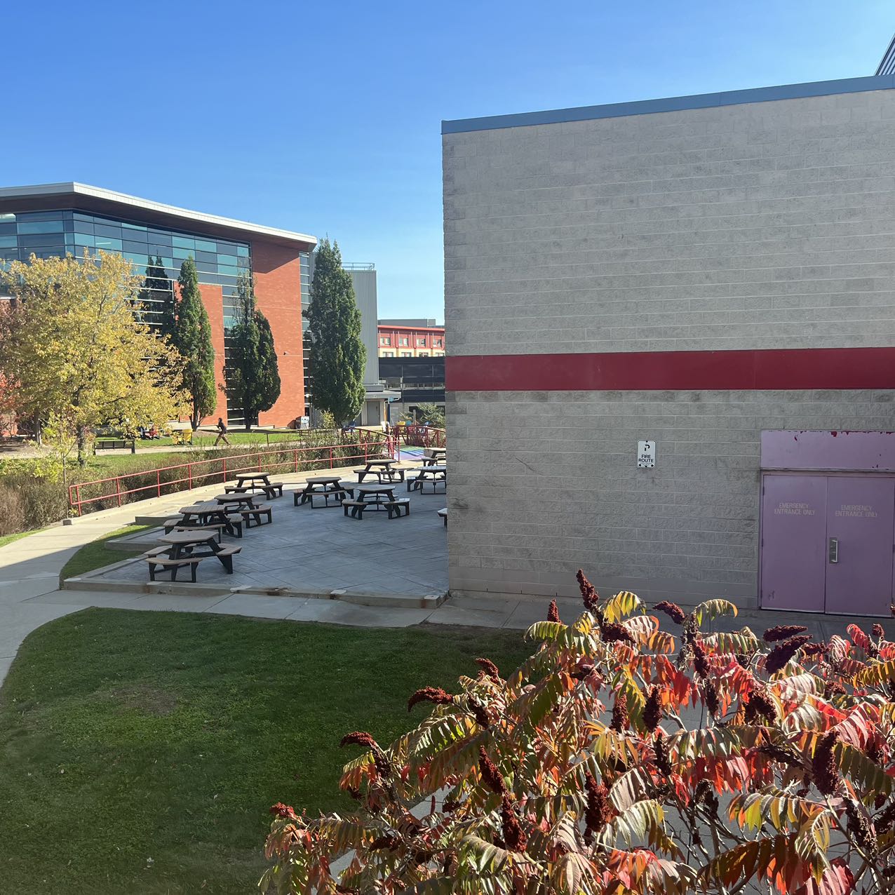 put a description here or you will lose grades